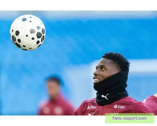 埃贝彻尔在博洛尼亚逐渐边缘化的原因与影响分析