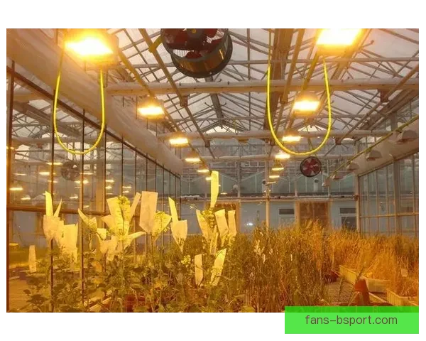 2026世界杯官方推出全新自热排水草坪科技全面提升比赛体验